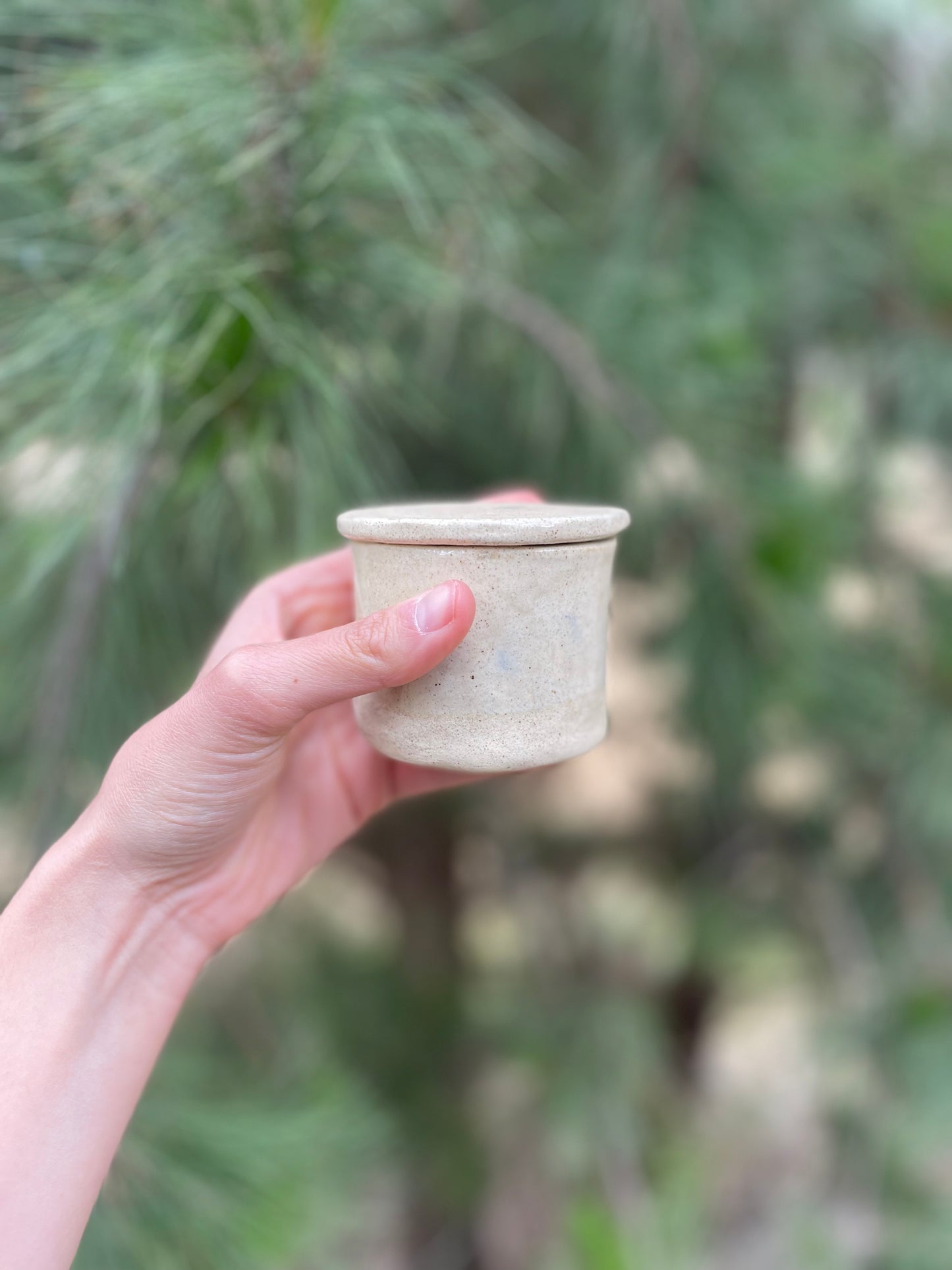 “Guarda” - Mantequillero francés